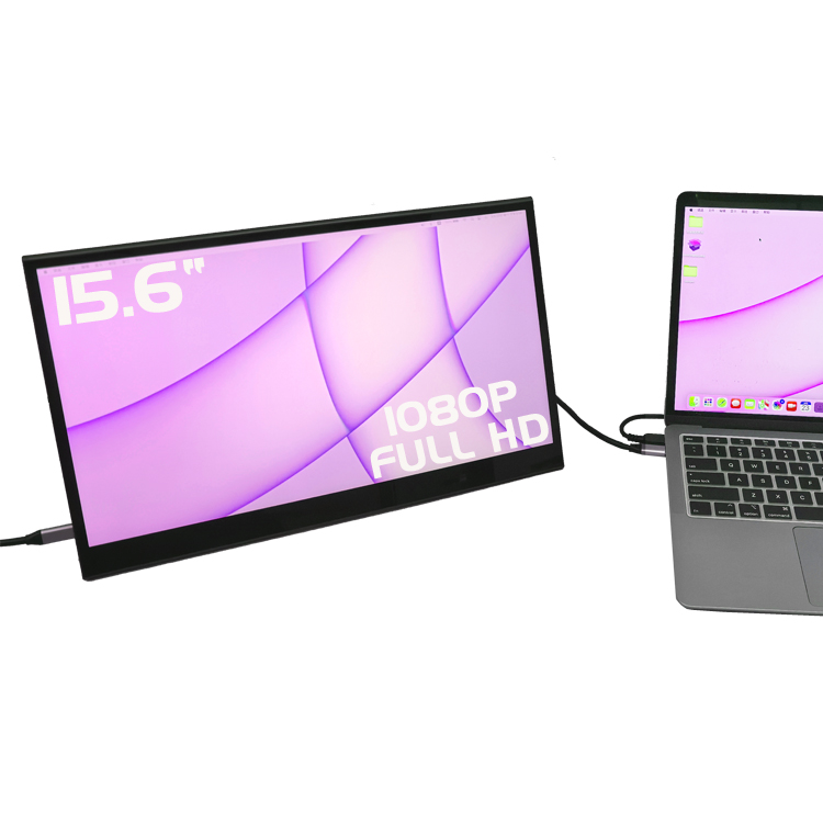 Monitor Portatile USB Type-C d - Pc Gaming Ultrawide Monitor recensione e prezzo